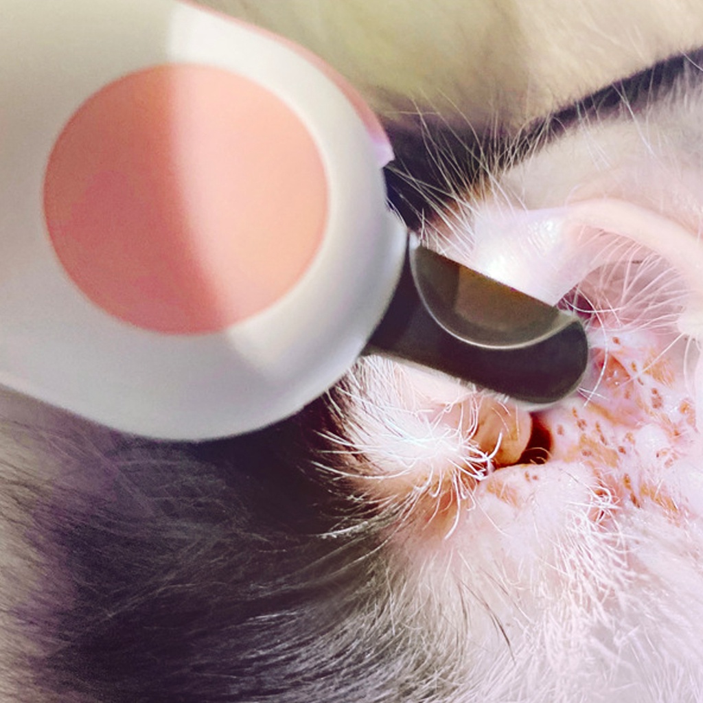 Kềm Cắt Móng Tay Có Đèn led Cho Thú Cưng