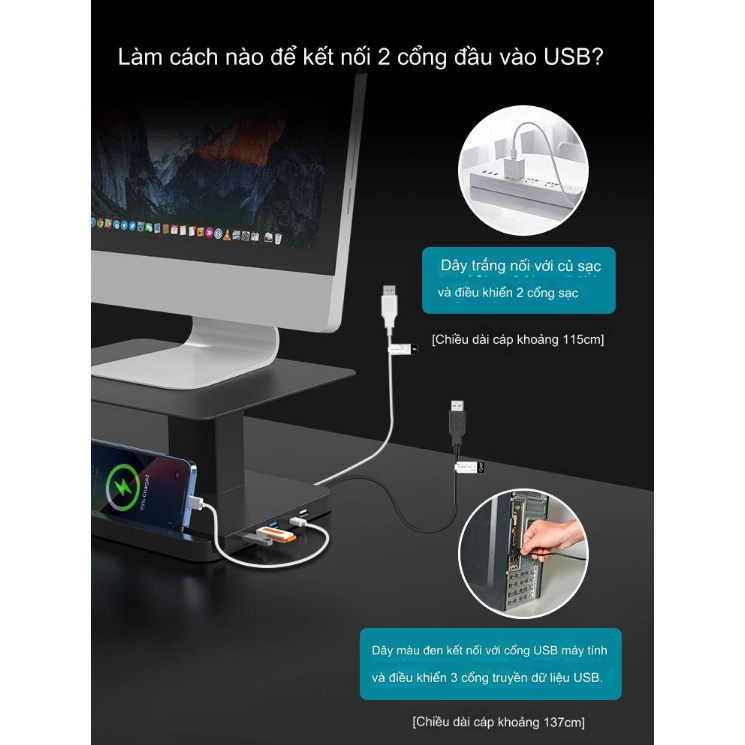 Euro Home - Bàn Kê Màn Hình Điều Chỉnh Nâng Hạ Steel Carbon USB Bus