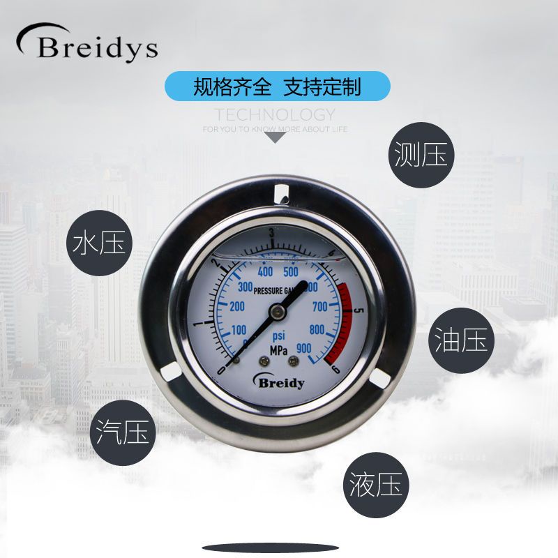 Đồng hồ đo áp suất YN60ZT trục cạnh chống sốc áp suất dầu áp suất thủy lực áp suất nước đồng hồ đo