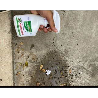 Chai Xịt Ruồi Sinh Học ECOPEST FLY