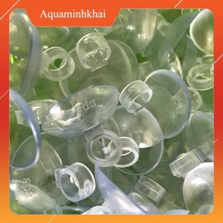 Núm hít giữ dây sủi cho bể cá cảnh