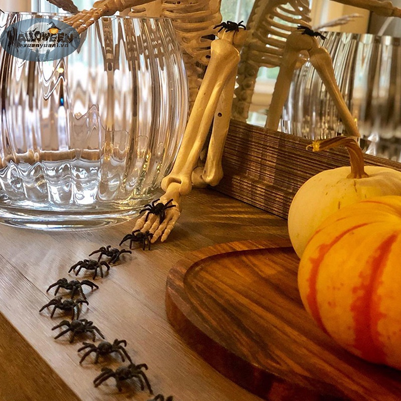 Set 50 Mô Phỏng Nhện Nhựa Màu Đen Trang Trí halloween vn