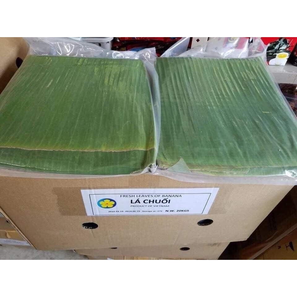 Lá Chuối Tươi 500gr, 1kg dùng gói bánh, gói giò, gói chả lụa - Chuối Nhà Trồng Luôn Tươi Mới