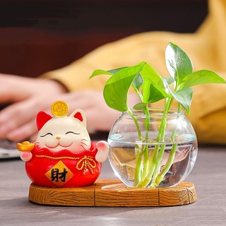 Chậu cây mini thủy sinh để bàn làm việc kèm tượng mèo thần tài, mang lại may mắn lạc quan vui vẻ