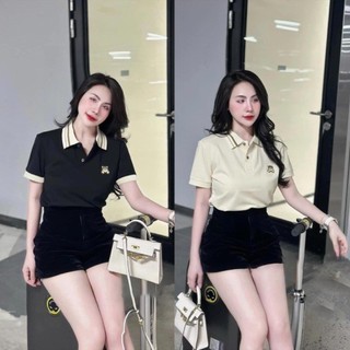 Áo polo thêu gấu TOY đen be cho nữ