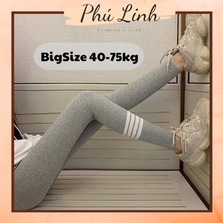 MS357 Quần tất legging sọc ngang len tăm siêu co giãn