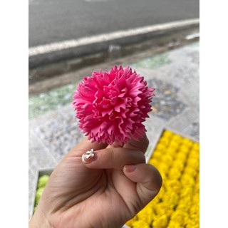 hộp hoa sáp cẩm chướng (50 bông )