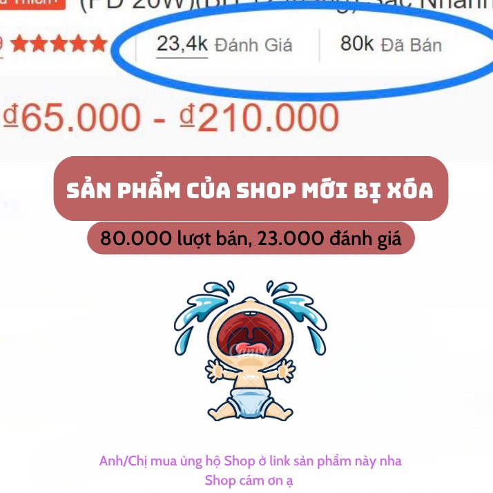 Củ Sạc Nhanh   SP01