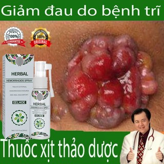Xit bôi hết trĩ nội trĩ ngoại trĩ tổng hợp không còn bị ngứa đau rát ở hậu môn