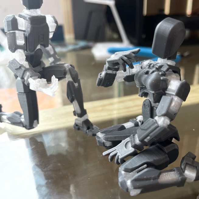 Mô Hình Búp Bê Chị Em 3d Có Khớp Cử Động Được Dummy13