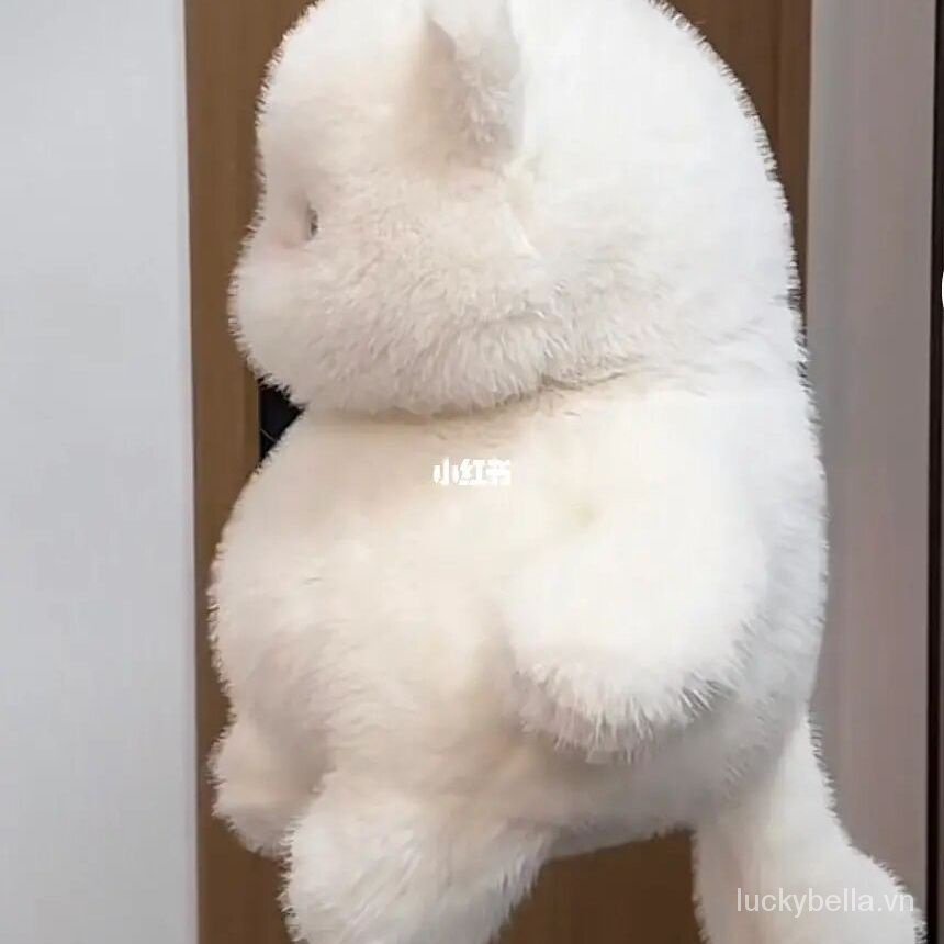 Meow Thú Nhồi Bông Hình Mèo Siêu Mềm Màu Trắng Dễ Thương