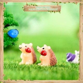Tiểu cảnh "nhím ôm nấm" trang trí sen đá, sân vườn/ chậu cây, dyi, terrarium .