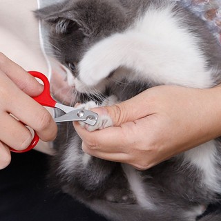 ✨ kéo cắt móng cho thú cưng chó mèo con - kềm cắt móng cho chó mèo