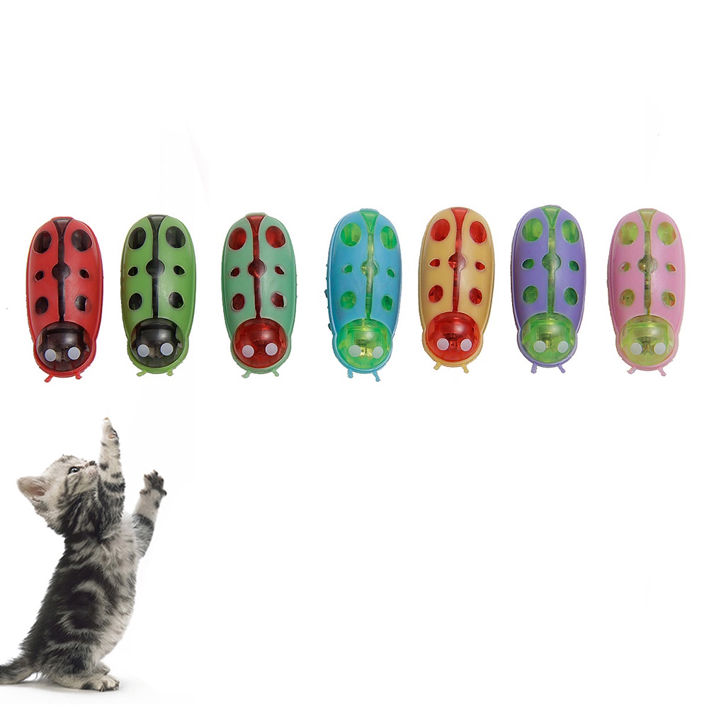 Đồ Chơi Robot Điện Tử Hình Bọ Rùa Mèo Dễ Thương