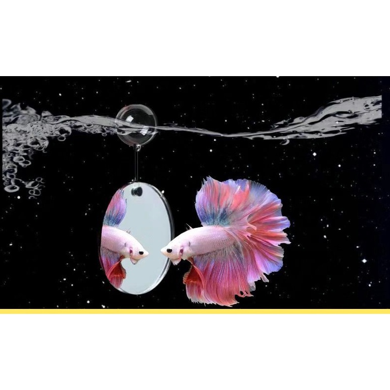 Douyu gương huấn luyện đặc biệt gương treo hai mặt hình trụ bên ngoài hình trụ hình trụ vui nhộn Lei