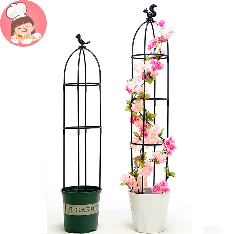 Yanca 1 Bộ Khung Hỗ Trợ Trồng Cây Dây Leo diy vn