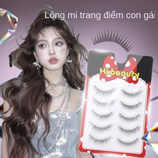  Trong Suốt Mềm Mại Thân Lông Mi Giả Chữ A Cổ Tích Tóc Mỏng Thân Lông Mi Nhà Sản Xuất Bán Buôn 5 Đôi Bộ Lông Mi 