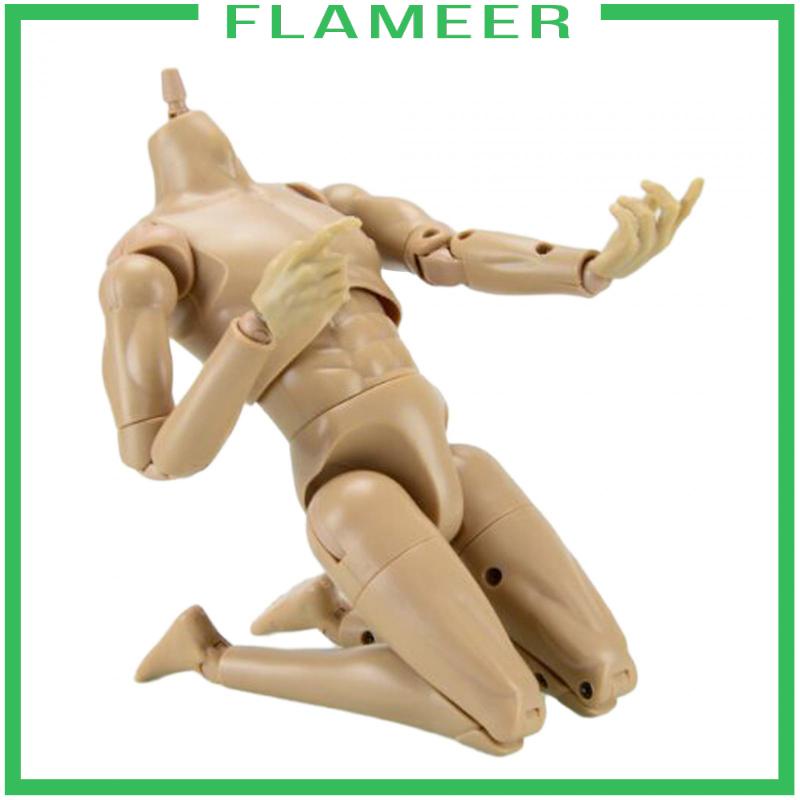 Mô Hình Cơ Thể Nam 12 inch Tỉ Lệ 1 / 6