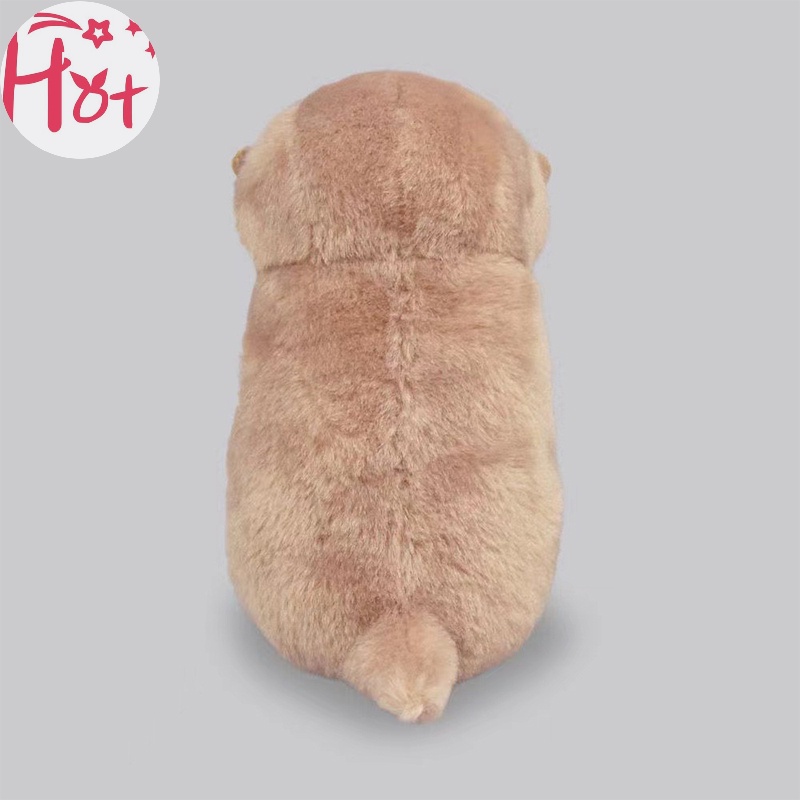 Móc Chìa Khóa Hình Chú Cá Nhồi Bông Gọn Nhẹ Dễ Thương Dùng Làm Đạo Cụ Chụp Ảnh Cho Học Sinh