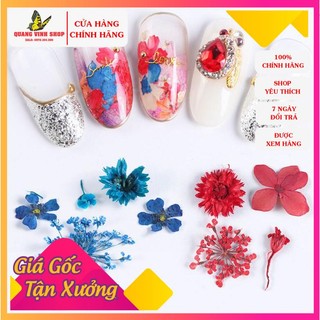 Hoa khô ẩn gel bông tròn
