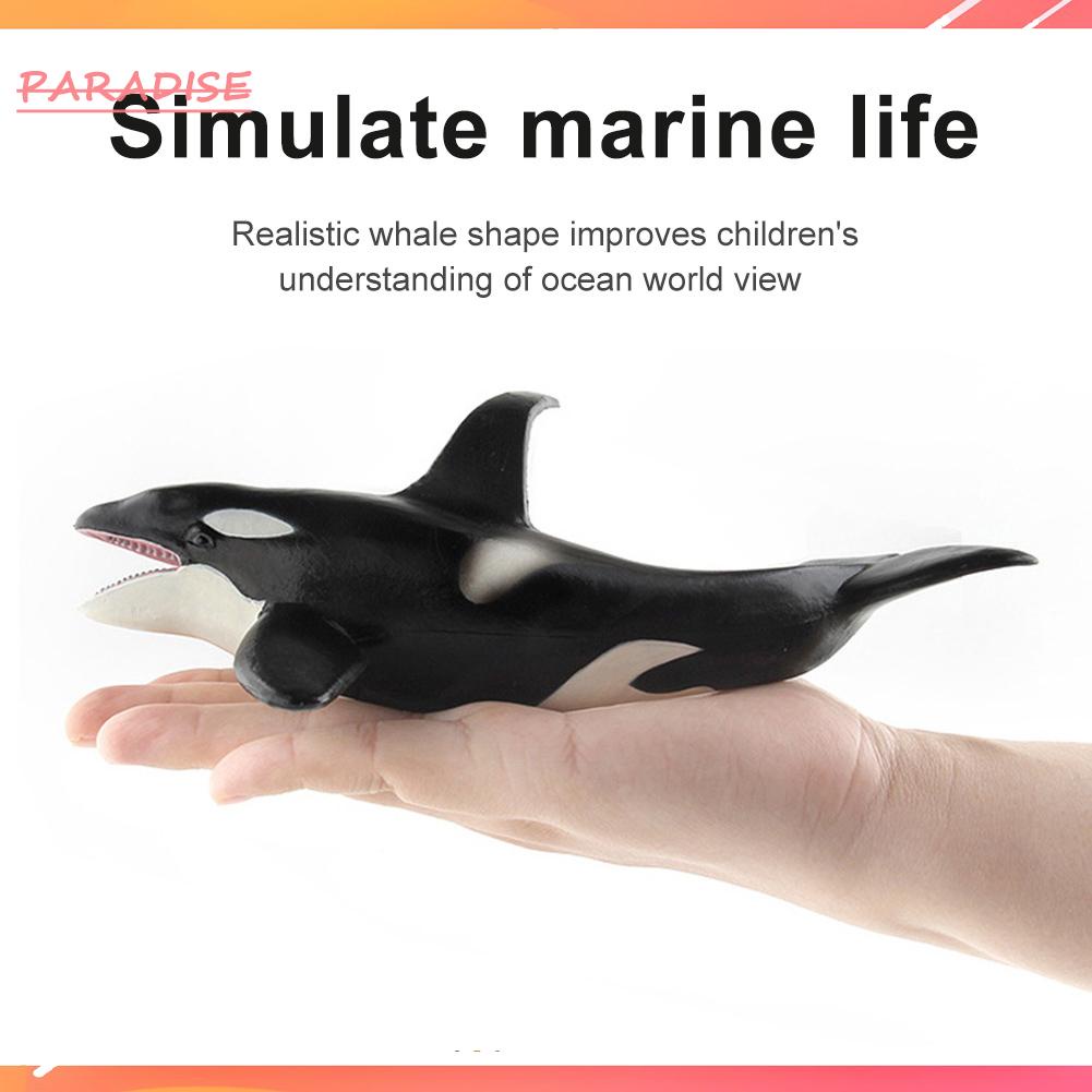 Mô Hình Cá Voi Sát Thủ 1.vn Di Động An Toàn Cho Bé