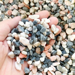 Sỏi trang trí sen đá các loại (1kg)