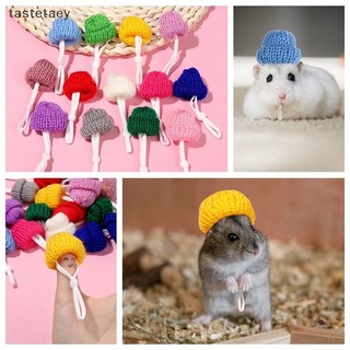 Mũ đội hình chuột hamster / guinea / lợn / vịt ngộ nghĩnh đáng yêu