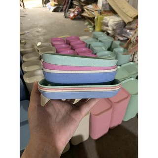 【Hot】 Sét 8 Đĩa Lúa Mạch Siêu Đẹp (Sỉ Hot)