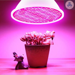 Bóng Đèn led Trồng Cây Trong Nhà e27 e27