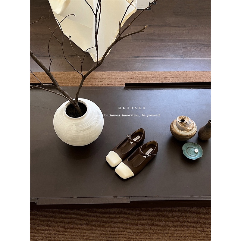 Giày Búp Bê Da Mũi Vuông Phối Màu Xinh Xắn Theo Phong Cách Pháp Dành Cho Nữ