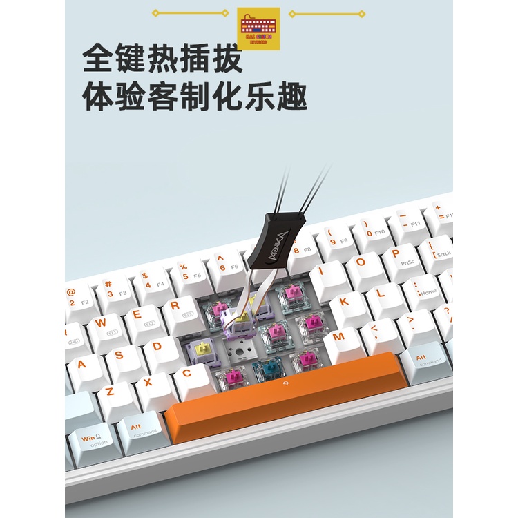 Bàn Phím Cơ Monka 3067 Pro v2 | 3 Modes | Led RGB | Mạch Xuôi