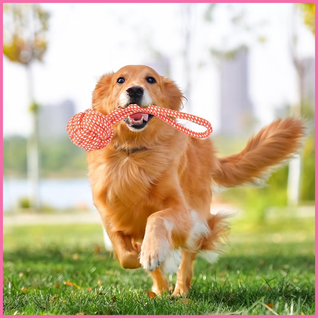 Flirt Đồ Chơi Gậy Leo Trèo Chiến Tranh Có Thể Kéo Dài Cho Chó Cưng