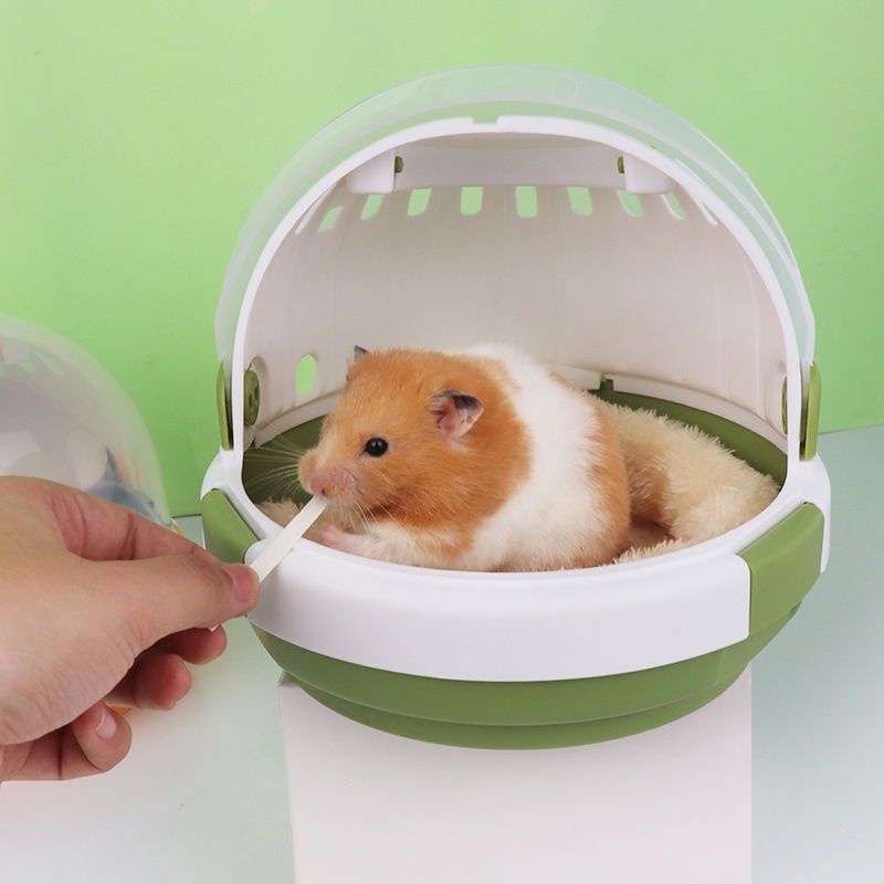 Lồng đi chơi cho chuột lang lồng tàu lượn không gian đường đồ dùng cho chuột lang rừng Lồng xách tay