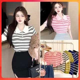  Áo len thun nữ QC Montoghi cổ polo SỌC SÓNG NGANG tay ngắn