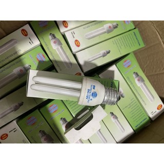 Bóng đèn huỳnh quang Compact 12V DC