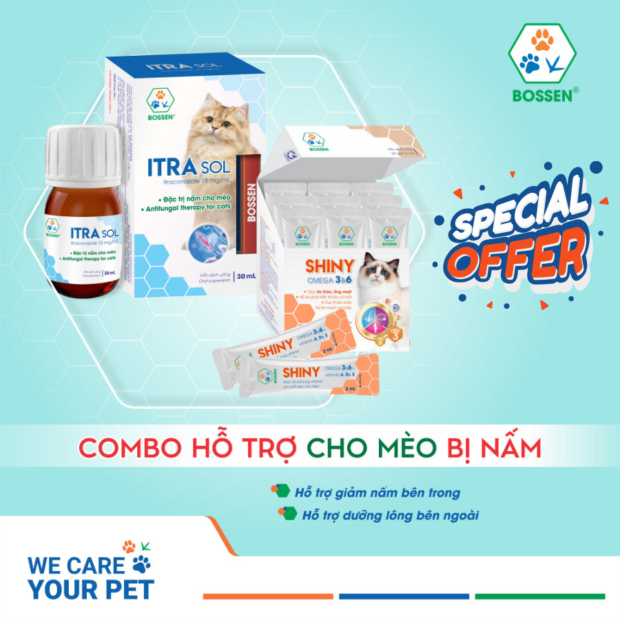 BOSSEN - COMBO HỖ TRỢ MÈO GIẢM NẤM - ITRA SOL & SHINY