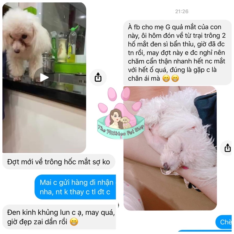 Combo loại bỏ thâm ố lông cho Chó Mèo