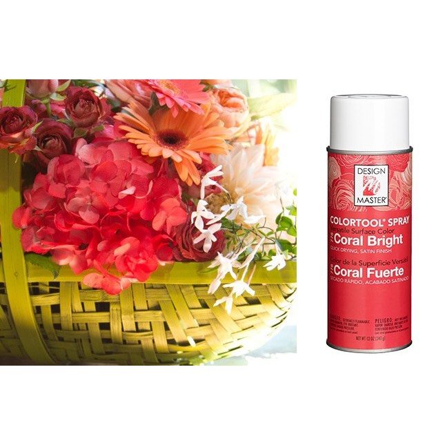 Sơn Xịt Màu hoa tươi Design Master, phụ kiện hoa moclanvien, hàng Mỹ