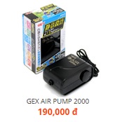 Máy sủi oxi mini cho bể cá cảnh Gex Nhật 1 vòi 1000