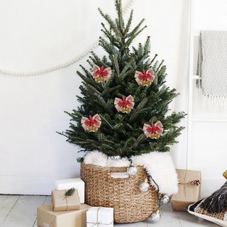 Nơ Trang Trí Cây Thông Noel