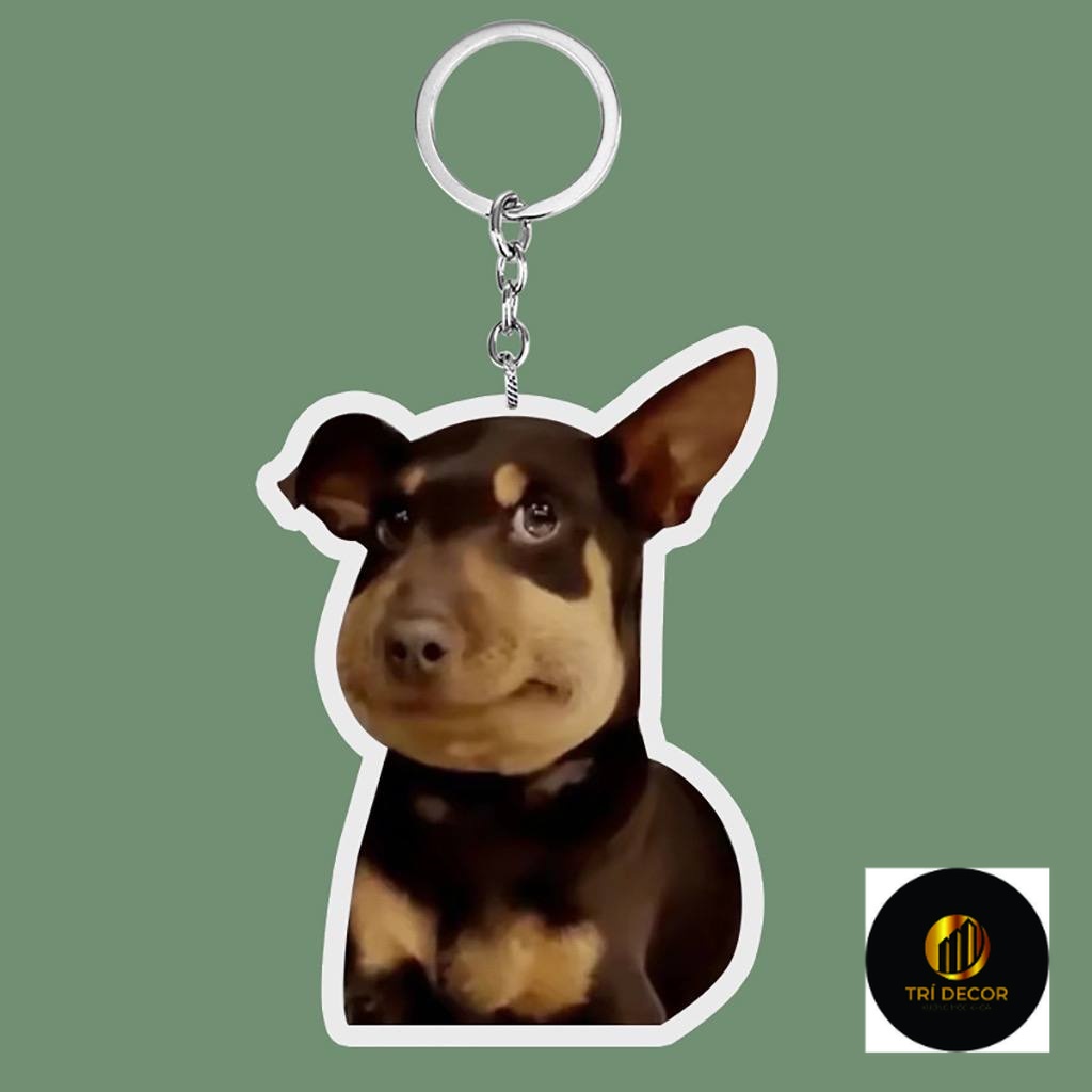 Móc khóa chó mèo babi phun nước cho bạn bè, người yêu - móc khóa mica