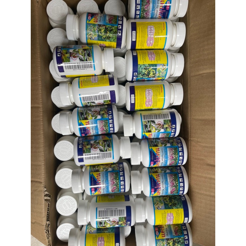 Thuốc trừ bệnh thối nhũn, nấm bệnh trên phong Lan Captan Thai Lan