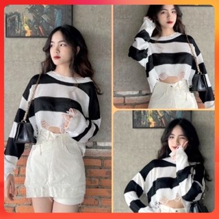  Áo len thun QC Montoghi cổ tròn MỎNG CROPTOP kiểu RÁCH tay dài