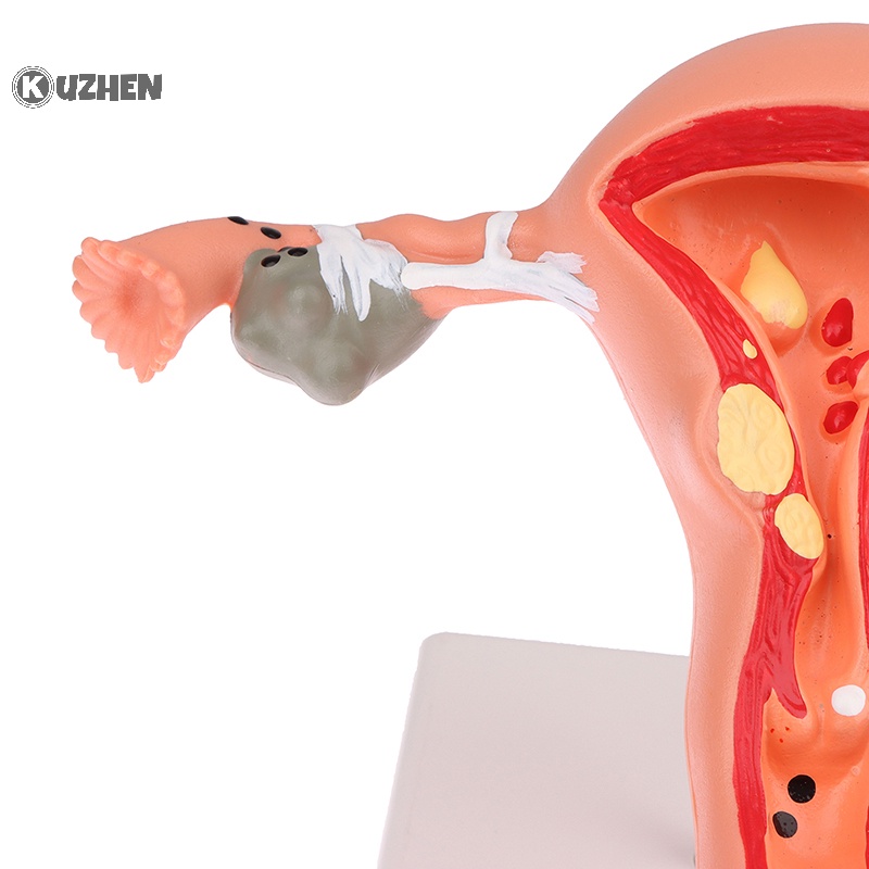 1 Mô Hình Nhân Vật Cung Điện Tử Thông Minh kuzhen Zuzhen