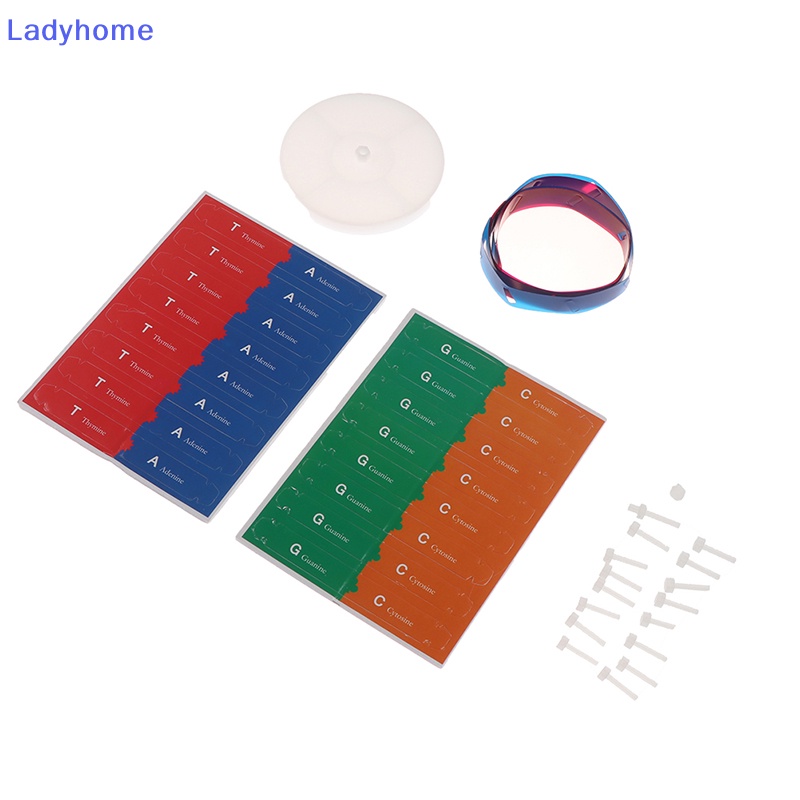 Lady Gen Mô Hình dna Đồ Chơi Dạy Học Khoa Học Thú Vị Cho Nữ vn