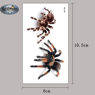 Hình Xăm Dán Hình Nhện 3d Cá Tính Độc Đáo