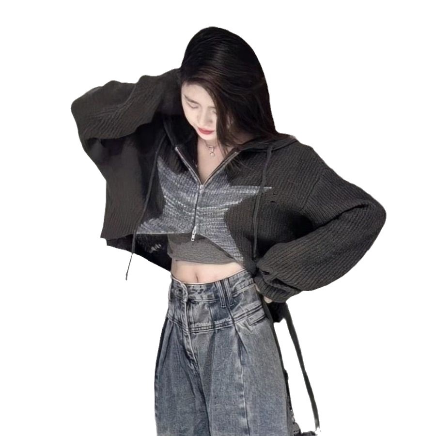 Áo Khoác cardigan Dệt Kim Dáng Ngắn Phối Khóa Kéo Phong Cách retro Cho Nữ