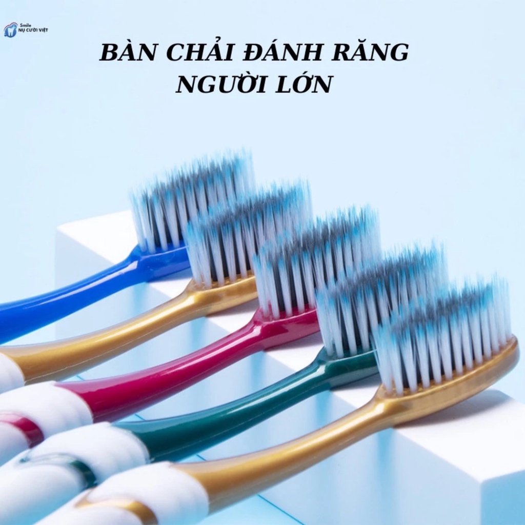 PVN61065 Bàn Chải Đánh Răng Brush Lông Mềm Mượt Cho Gia Đình T888