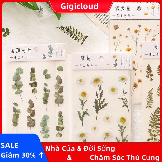 Gigicloud Sticker pet Hình Hoa Dán Phẳng Trang Trí Sổ Tay diy