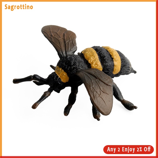 Sag Mô Hình Côn Trùng Bướm Sống Động Như Thật Cho Bé